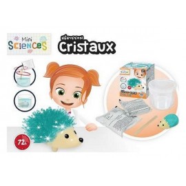 MINI SCIENCES CRISTAUX - Jouets56.fr - Magasin jeux et jouets dans Morbihan en Bretagne MINI SCIENCES CRISTAUX - Jouets56.fr - Magasin jeux et jouets dans Morbihan en Bretagne