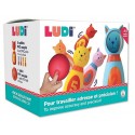 JEU DE QUILLES CHAT - 5 QUILLES ET UNE BALLE PLASTIQUE SOFT