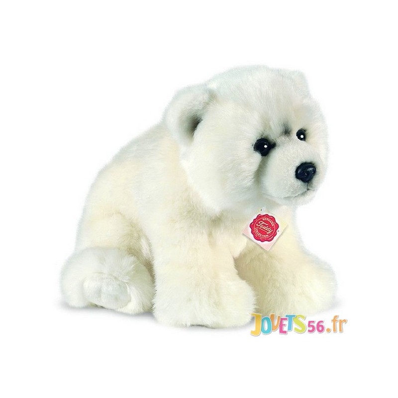 Peluche Ours Polaire Blanc 25cm Jouets56 Fr