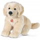 Peluche chien golden retriever  assis 30cm - jouets56.fr - magasin jeux et jouets dans morbihan en bretagne