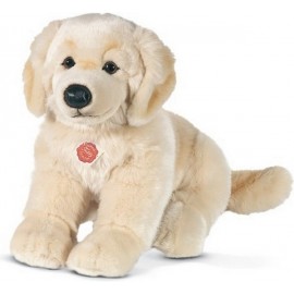 PELUCHE CHIEN GOLDEN RETRIEVER  ASSIS 30CM - Jouets56.fr - Magasin jeux et jouets dans Morbihan en Bretagne