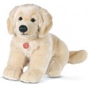 PELUCHE CHIEN GOLDEN RETRIEVER  ASSIS 30CM
