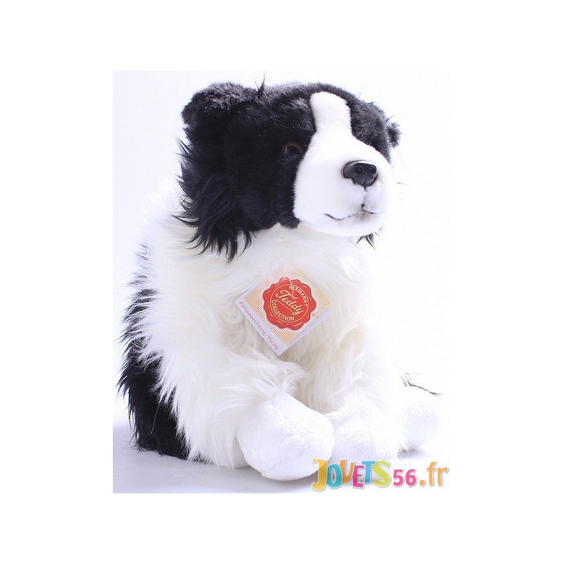 peluche chien border collie