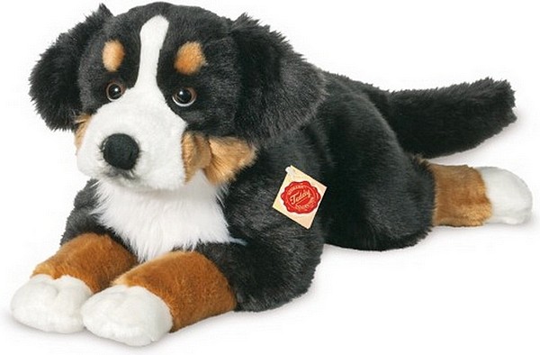 peluche bouvier bernois