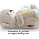 Peluche veilleuse loutre calin bonne nuit - jouets56.fr - lilojouets - magasins jeux et jouets dans morbihan en bretagne