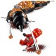 70674 croc'feu lego ninjago - jouets56.fr - lilojouets - magasins jeux et jouets dans morbihan en bretagne