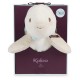 Pistache la tortue 25cm peluche avec boite les amis - jouets56.fr - lilojouets - magasins jeux et jouets dans morbihan en bretag