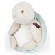 Pistache la tortue 25cm peluche avec boite les amis - jouets56.fr - lilojouets - magasins jeux et jouets dans morbihan en bretag