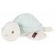 Pistache la tortue 25cm peluche avec boite les amis - jouets56.fr - lilojouets - magasins jeux et jouets dans morbihan en bretag