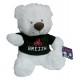 Peluche ours t-shirt breizh 22cm-lilojouets-magasins jeux et jouets dans morbihan en bretagne