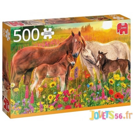 PUZZLE CHEVAUX DANS LA PRAIRIE 500 PIECES-LiloJouets-Magasins jeux et jouets dans Morbihan en Bretagne