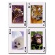 Jeu 54 cartes animaux sauvages-lilojouets-magasins jeux et jouets dans morbihan en bretagne