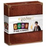 JEU JE VAIS A POUDLARD JEU DE CARTES HARRY POTTER-LiloJouets-Morbihan-Bretagne
