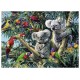 Puzzle koalas dans l'arbre 500 pieces-lilojouets-morbihan-bretagne