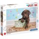 Puzzle chiot 180 pieces supercolor-lilojouets-morbihan-bretagne