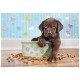 Puzzle chiot 180 pieces supercolor-lilojouets-morbihan-bretagne