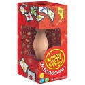 JEU JUNGLE SPEED - ECO-CONCEPTION