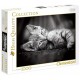 Puzzle kitty 1000 pieces chat high quality-lilojouets-morbihan-bretagne