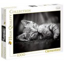 PUZZLE KITTY 1000 PIECES CHAT HIGH QUALITY