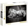 PUZZLE KITTY 1000 PIECES CHAT HIGH QUALITY-LiloJouets-Morbihan-Bretagne
