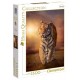 Puzzle tiger 1500 pieces tigre high quality-lilojouets-morbihan-bretagne