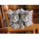 Puzzle chatons 500 pieces high quality-lilojouets-morbihan-bretagne