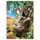 Puzzle koala et son bebe 500 pieces-lilojouets-morbihan-bretagne