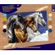 Tableau cavalcade chevaux 39x30cm peinture par numeros-lilojouets-morbihan-bretagne