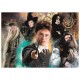 Puzzle harry potter ecole 500 pieces high quality-lilojouets-morbihan-bretagne