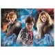 Puzzle harry potter 500 pieces high quality-lilojouets-morbihan-bretagne