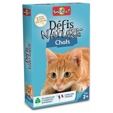 CHATS DEFIS NATURE CARTES-LiloJouets-Morbihan-Bretagne