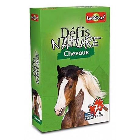 CHEVAUX DEFIS NATURE CARTES-LiloJouets-Morbihan-Bretagne