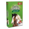 CHEVAUX DEFIS NATURE CARTES-LiloJouets-Morbihan-Bretagne