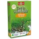 Arbres du monde defis nature cartes-lilojouets-morbihan-bretagne