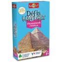 DEFIS NATURE MONUMENTS FABULEUX - 36 CARTES - BIOVIVA