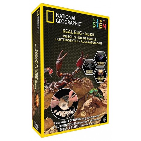 KIT DE FOUILLES INSECTES NATIONAL GEOGRAPHIC-LiloJouets-Morbihan-Bretagne