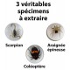 Kit de fouilles insectes national geographic-lilojouets-morbihan-bretagne