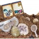 Kit de decouverte geodes national geographic-lilojouets-morbihan-bretagne