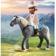 70449 caleche et couple royal playmobil princess-lilojouets-morbihan-bretagne