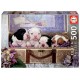 Puzzle chiots 500 pieces-lilojouets-morbihan-bretagne