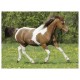 Puzzle cheval au galop 100 pieces-lilojouets-morbihan-bretagne