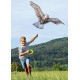 Cerf volant aigle terra kids-lilojouets-morbihan-bretagne