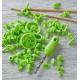 Kit technique connectors terra kids 66 pieces-lilojouets-morbihan-bretagne