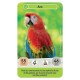 Mysteres de la jungle defis nature junior cartes-lilojouets-morbihan-bretagne