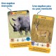 Rois de la savane defis nature junior cartes-lilojouets-morbihan-bretagne