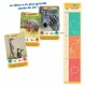 Rois de la savane defis nature junior cartes-lilojouets-morbihan-bretagne