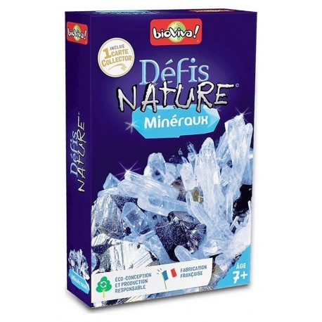 MINERAUX DEFIS NATURE CARTES-LiloJouets-Morbihan-Bretagne