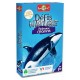 Animaux marins defis nature cartes-lilojouets-morbihan-bretagne