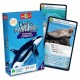 Animaux marins defis nature cartes-lilojouets-morbihan-bretagne