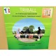 Jeu triball plateau bois 60x60cm-lilojouets-morbihan-bretagne